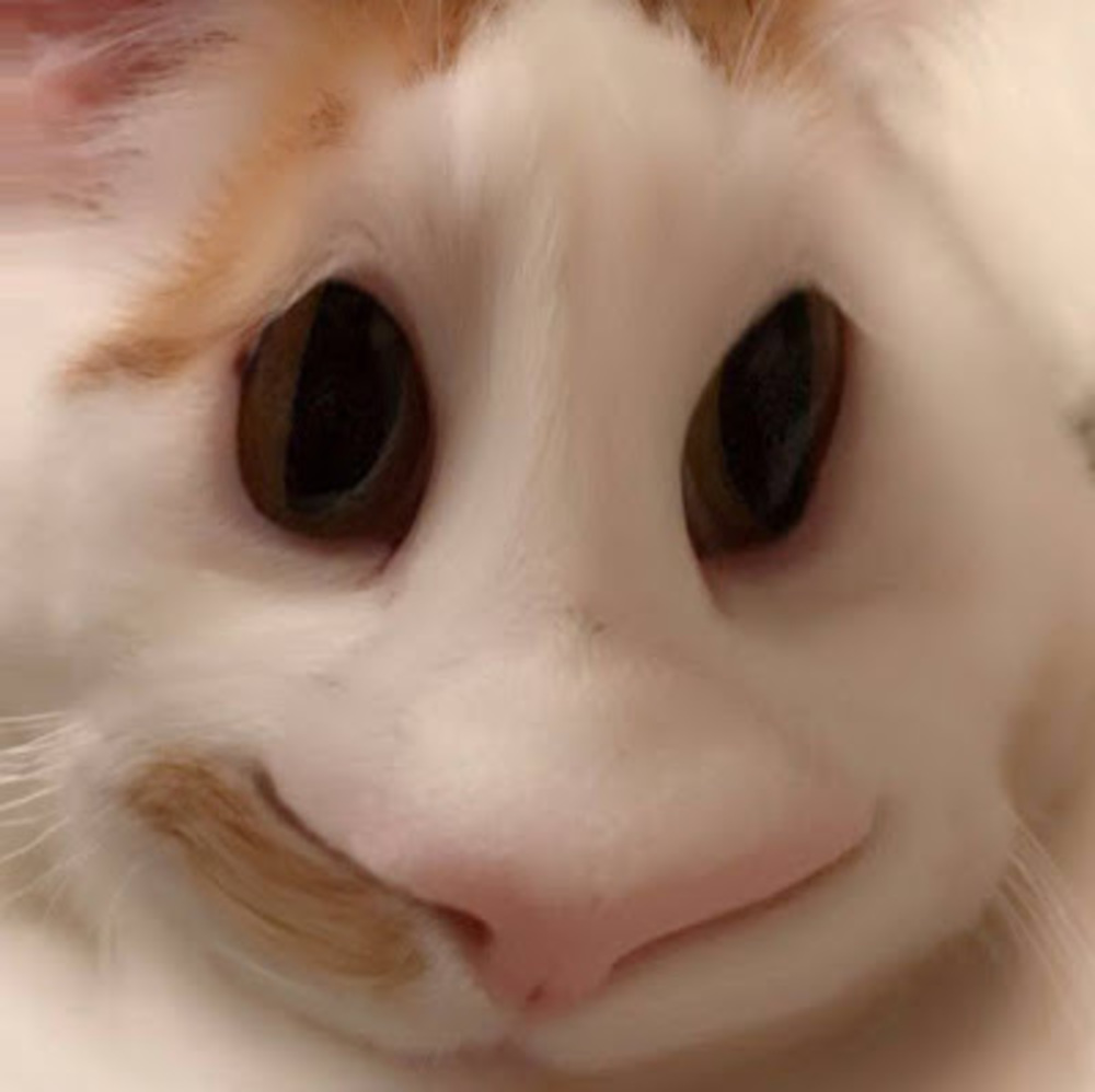 Meet your Posher, Elliot